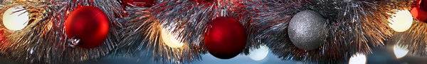 Image_4_9c2979d2fa9240d1b04b0154e5df9bc6