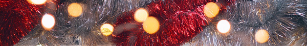 Image_14_a83270ccd53d45208be8b685dfd8dfa4