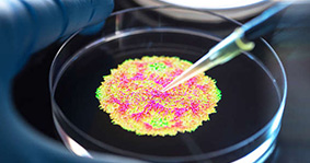 Image_12_7f9a7e189fb1442cae5802ef02d7f6c8
